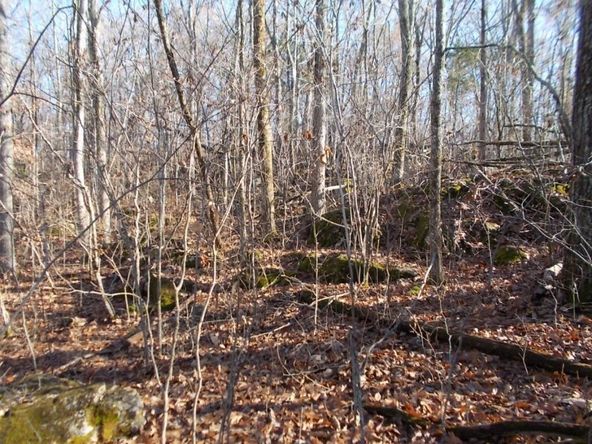 414 Doane Rd, New Market, TN 37820